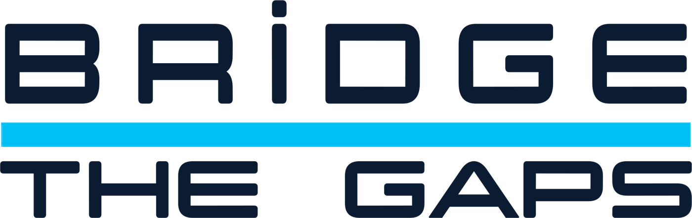 Bridge The Gaps